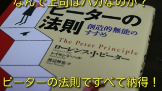 Thumbnail of post image 049