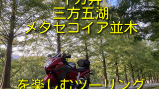 Thumbnail of post image 031